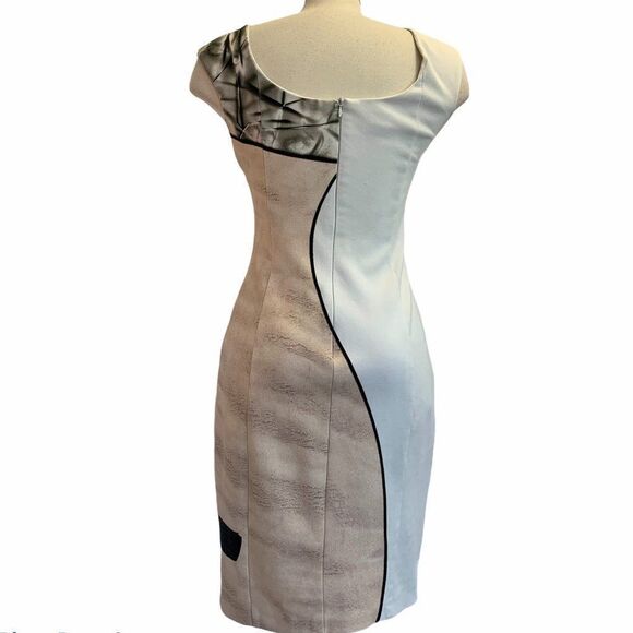 AKRIS PUNTO 2015 Fall Print Sleeveless Wear Sz 8 C - Picture 4 of 12